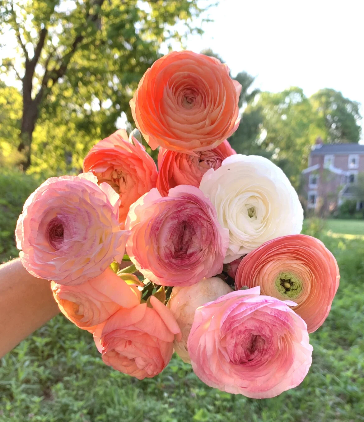 6C314894-D3D7-4F68-9165-78D8F9869B8C