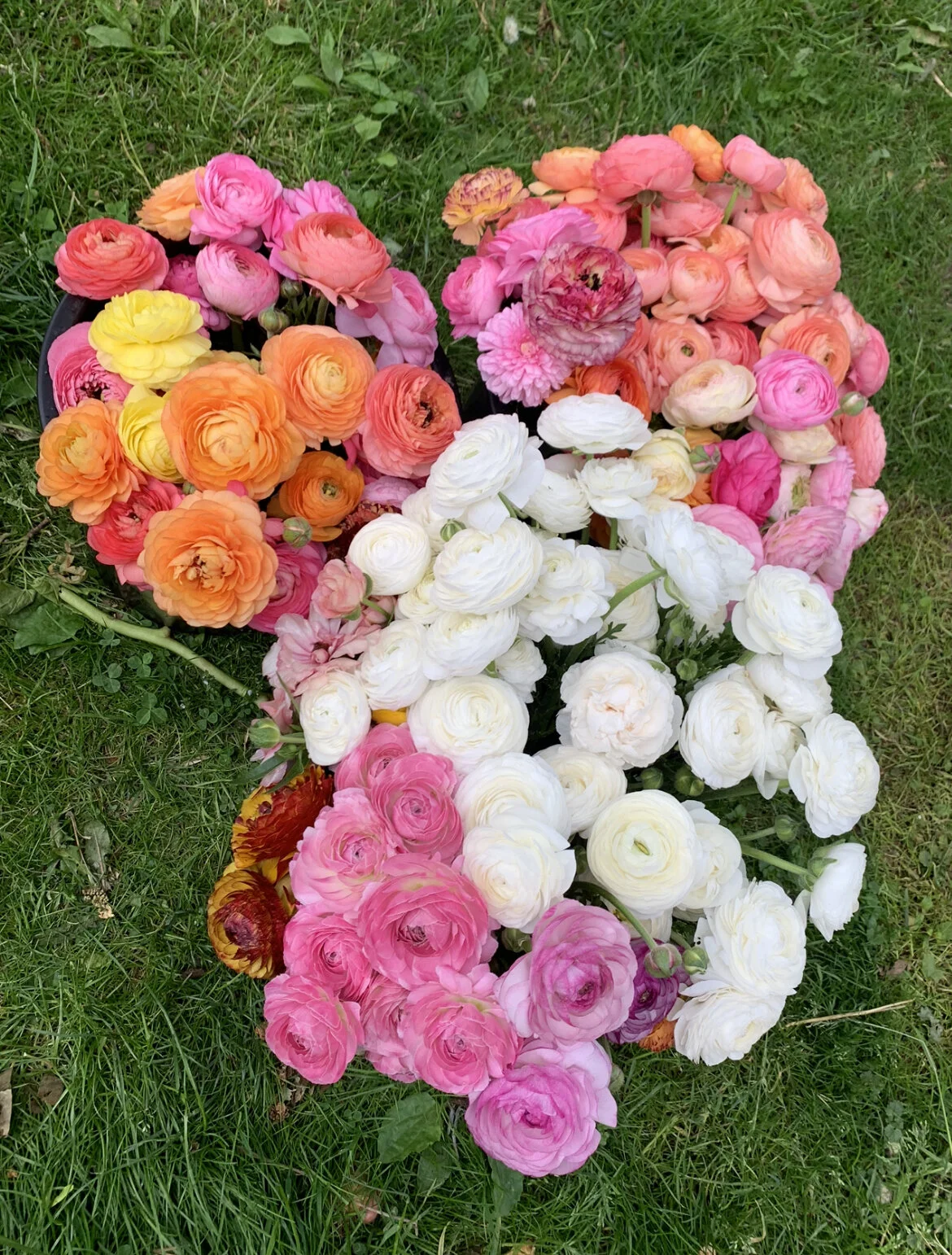 15BEAC06-D774-442C-95B7-3660CE5B767F