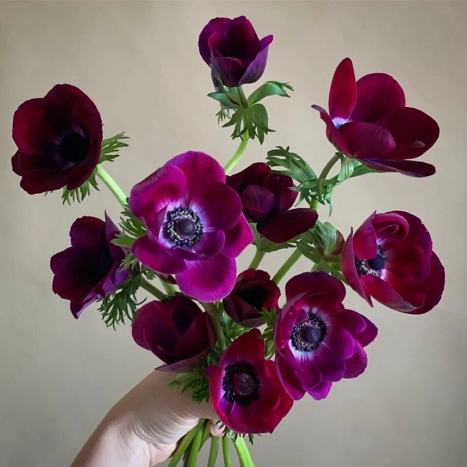 6442B8F7-6241-410E-ABC8-60999B8E0DD5