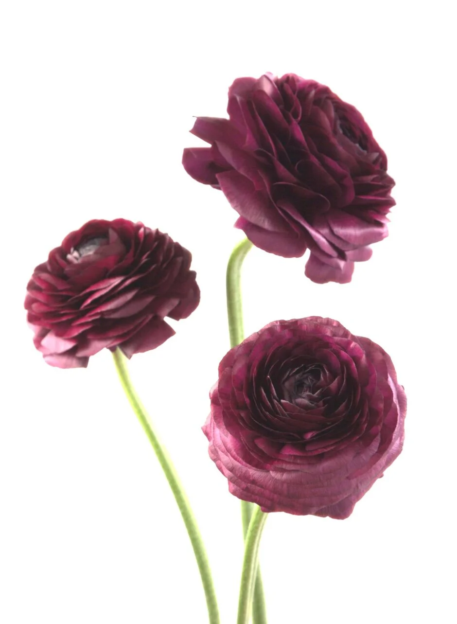 5C88DEF5-FE1C-47FE-A10A-A9A88FE77C1F