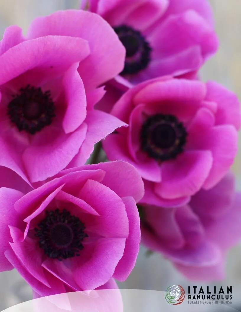 95097217-9622-46A4-B2C1-3D6D8143711B