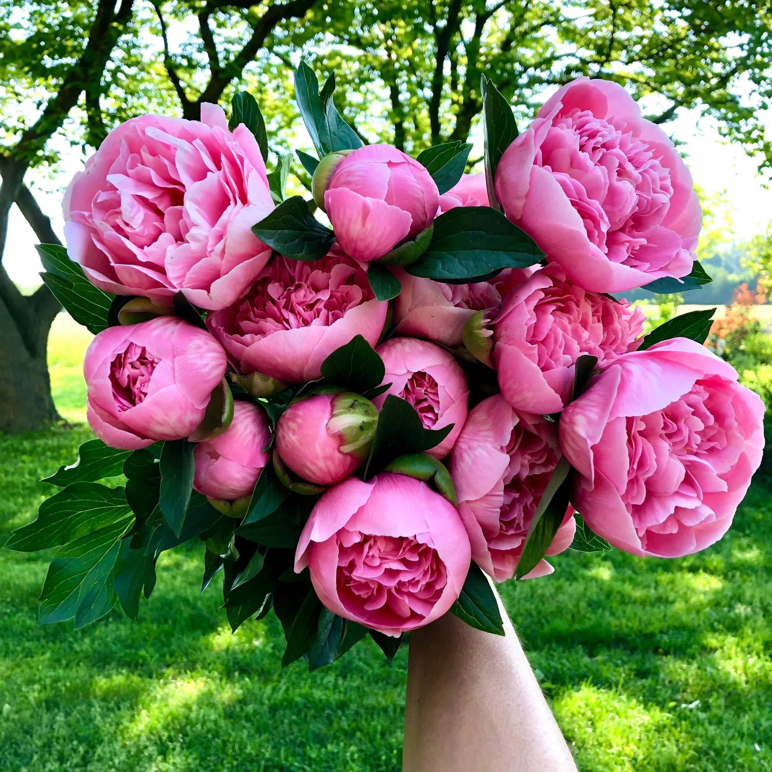 18274329-0564-424F-92BB-8CB11391BFA7