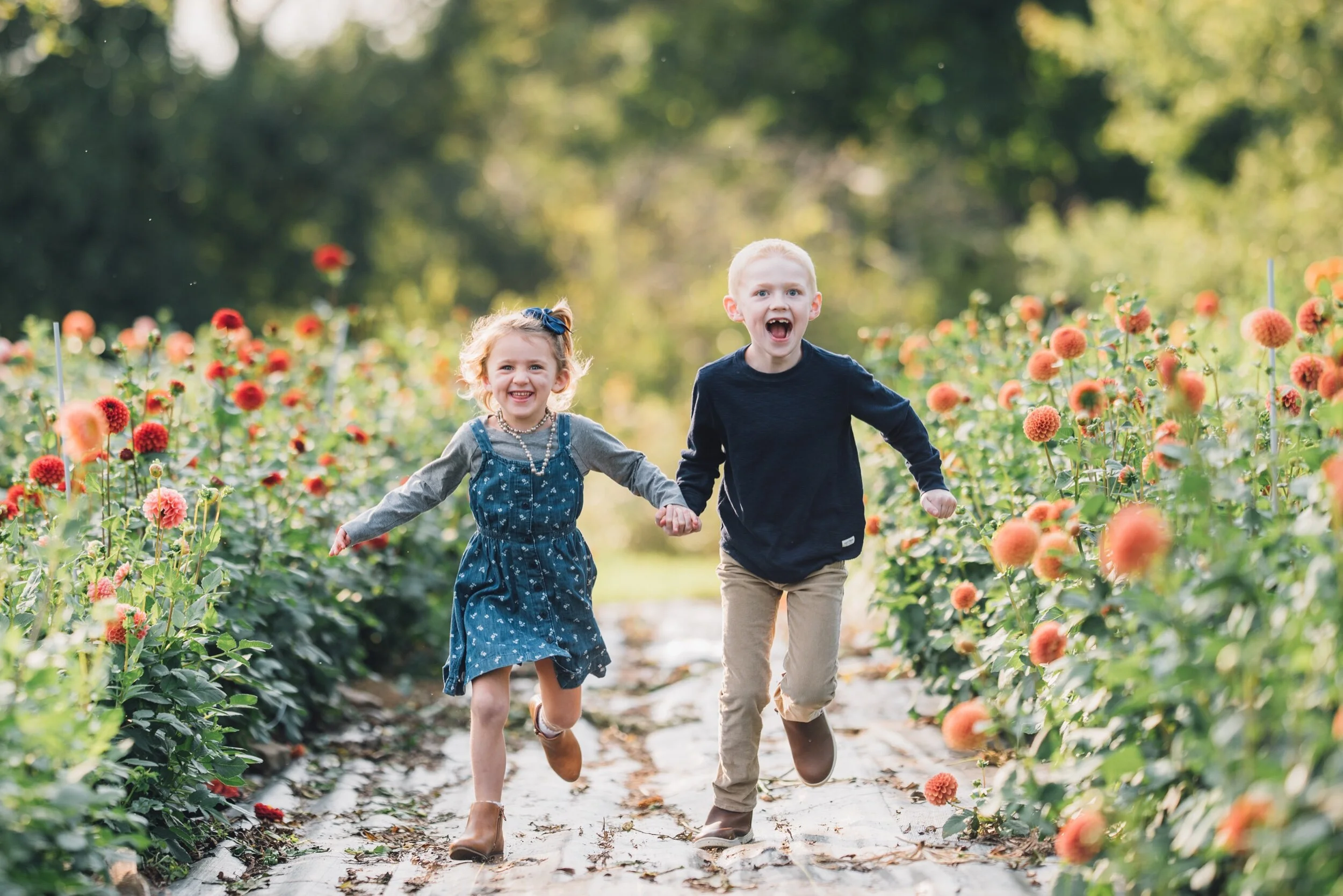 10/12 : 2025 Mini Photo Sessions with John de Pasquale