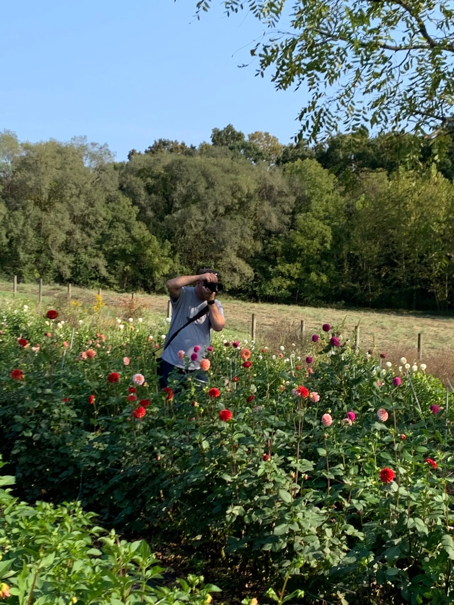 760BFB7D-4981-499C-81C7-4894BA914679