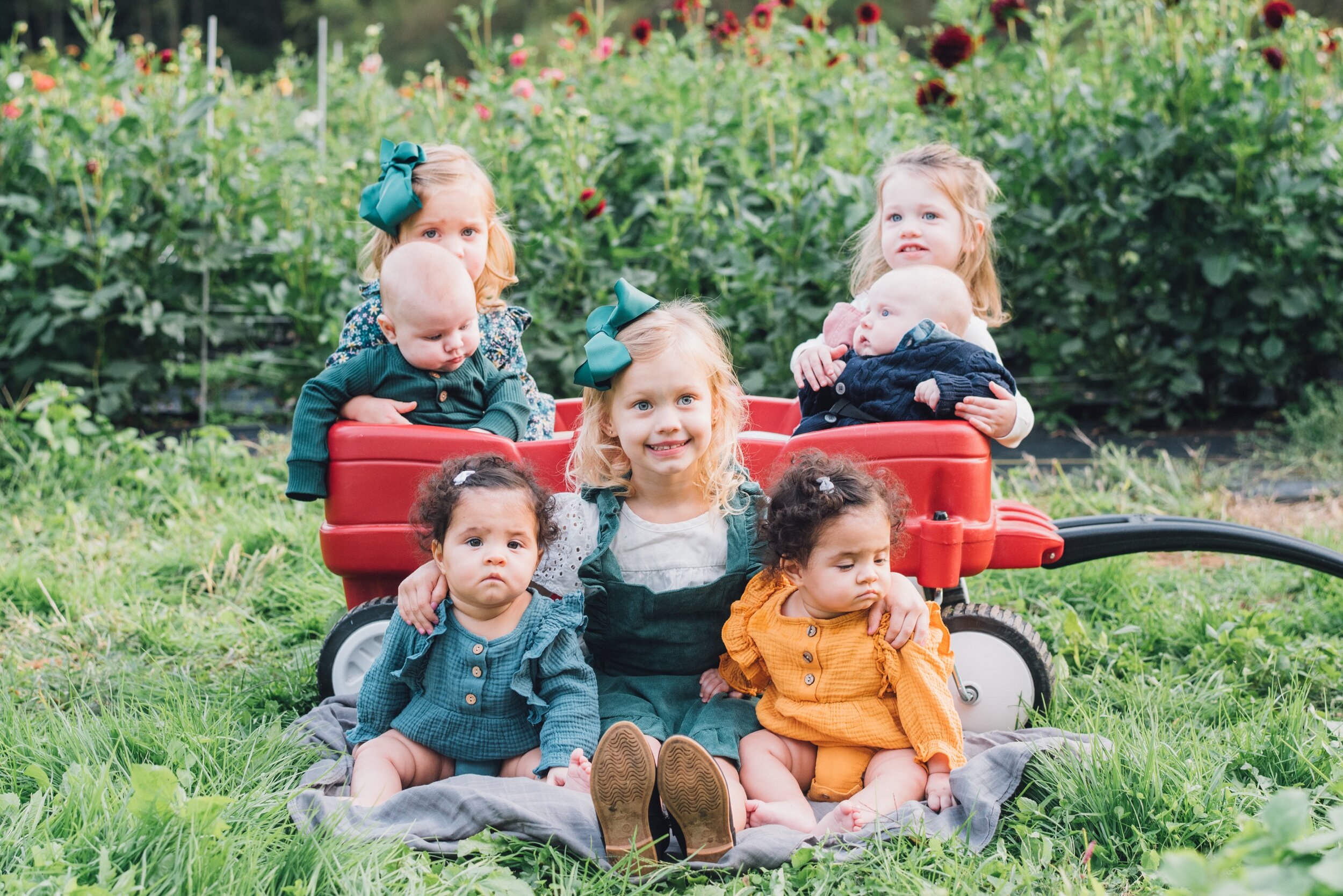 D5175077-7779-493E-B04A-3E5AE0C2EA59