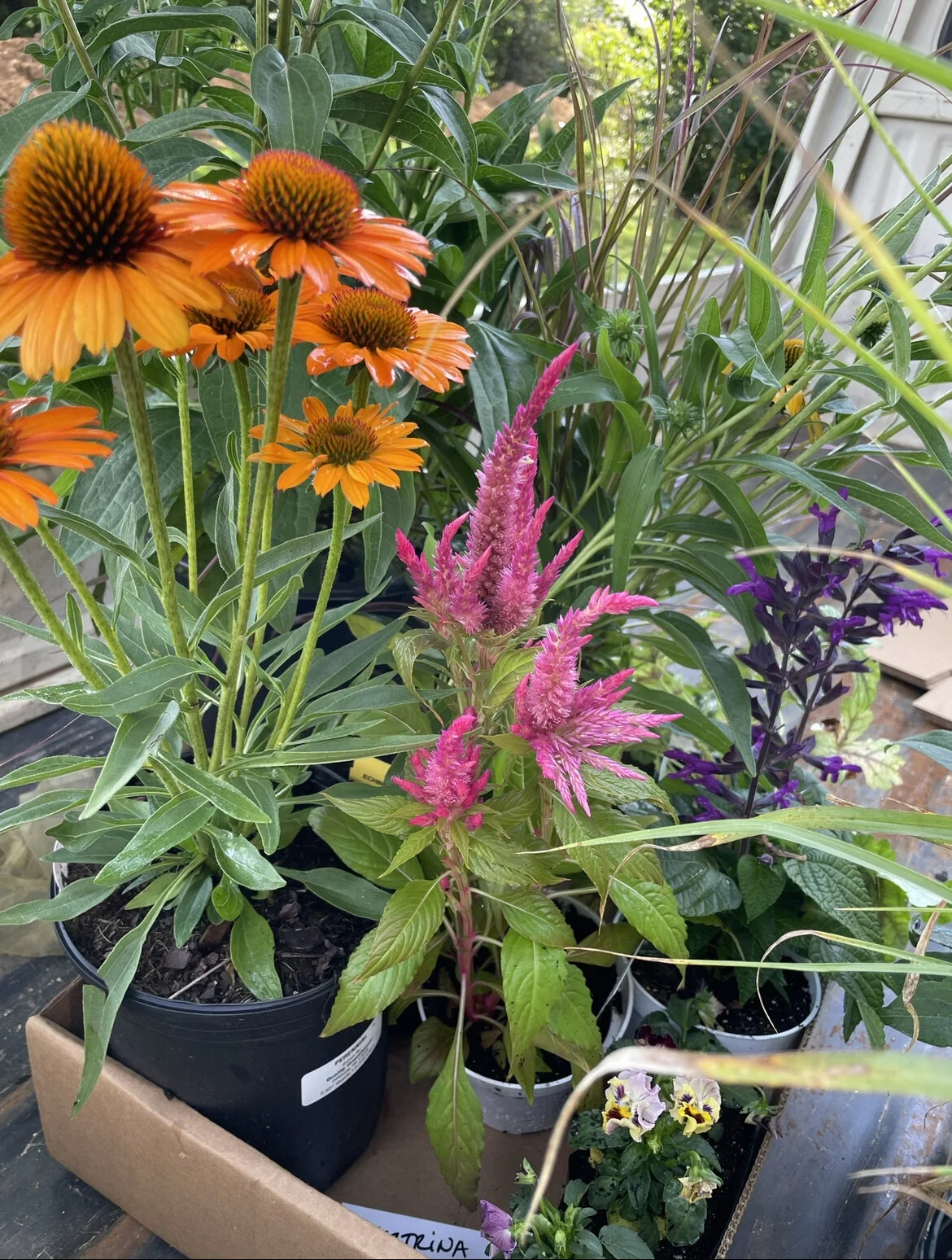 B276303A-ECA6-4175-BC78-4323B4B2A8CE