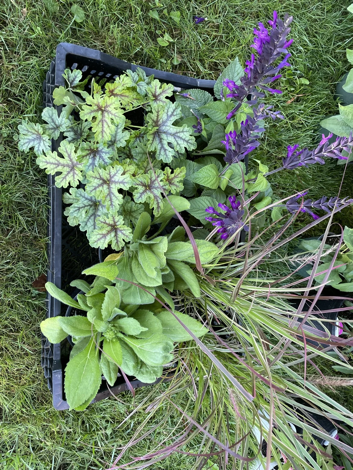 8328B506-06F4-4411-AFC6-718F478D9EF9