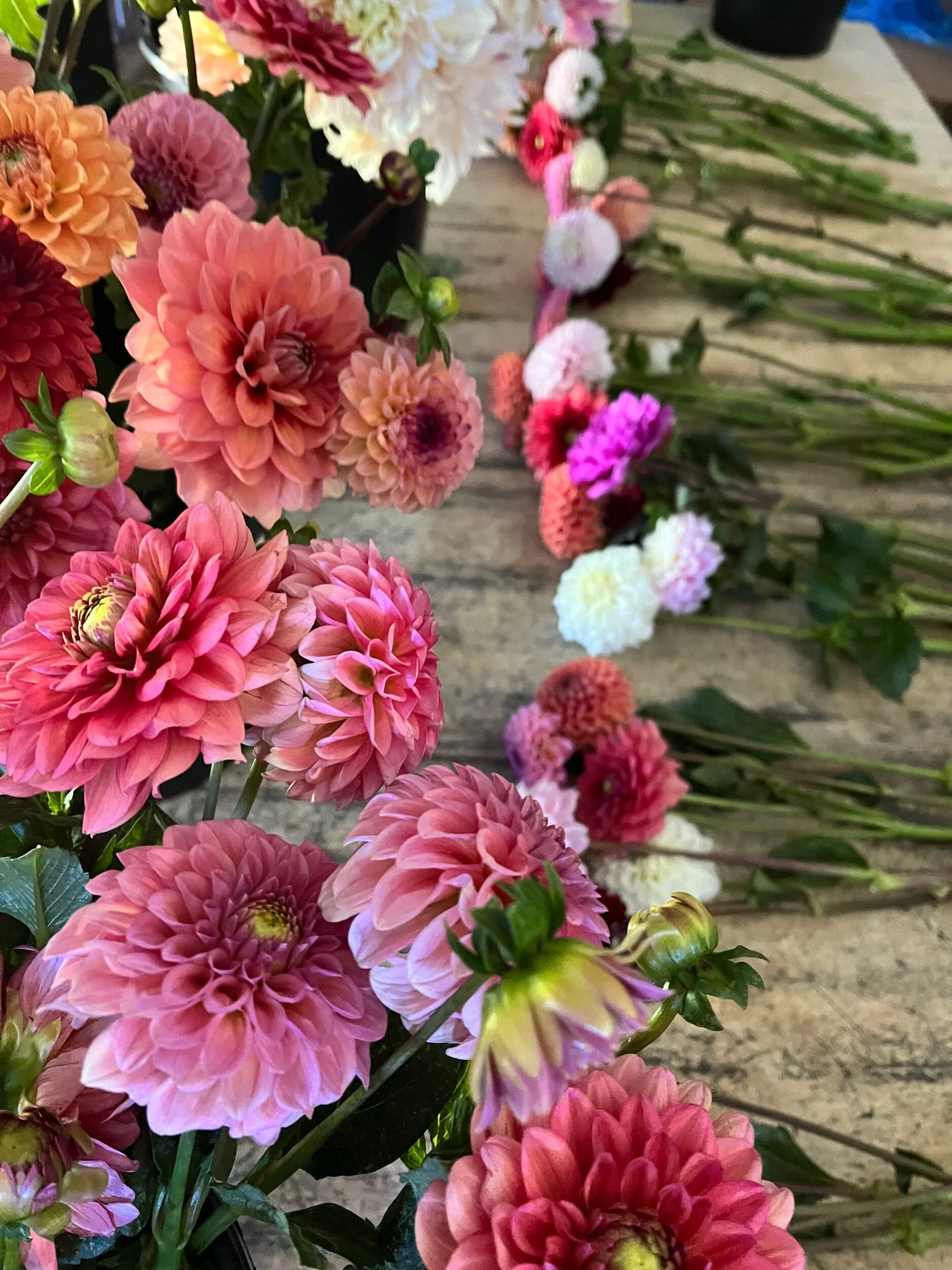 3F50352C-782D-45B8-9F6E-25CE1686D046