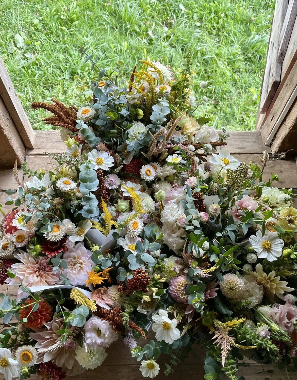 B87718F1-C18D-441B-B69D-4431F063AFC7