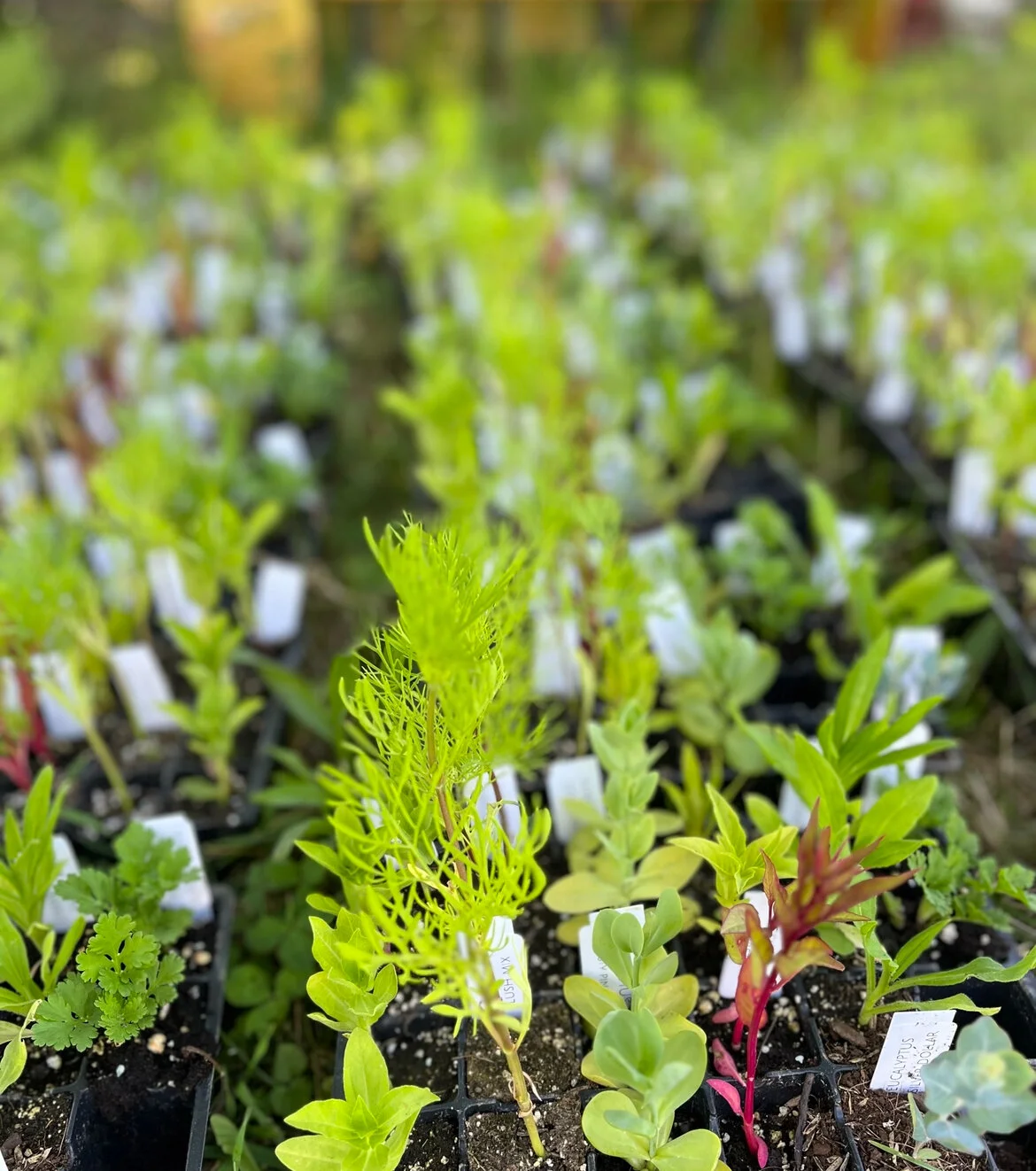 5B0D8B76-6BCE-4D18-B606-9D26C1EBDB8F