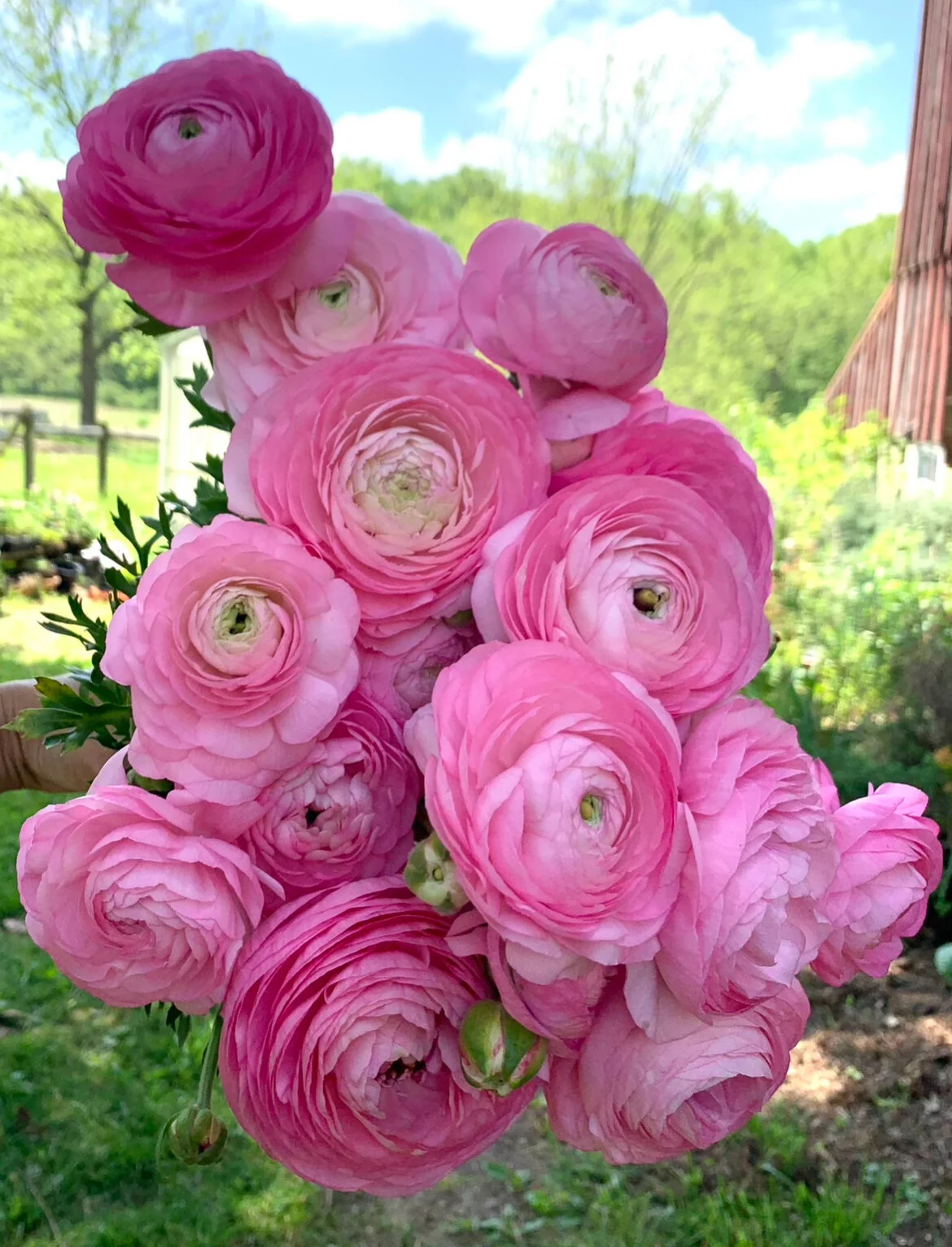 B7F7A0B1-D778-4B00-9910-0F6A5B0AD190