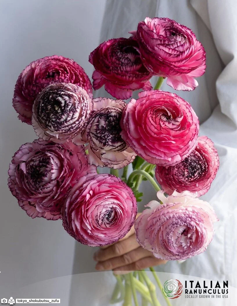 B7082079-72FC-40AA-AA2E-37987B827F52