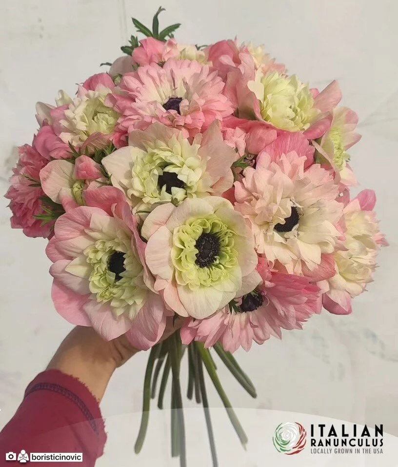 DAA43CFF-2211-443E-8B0D-8322948A1386