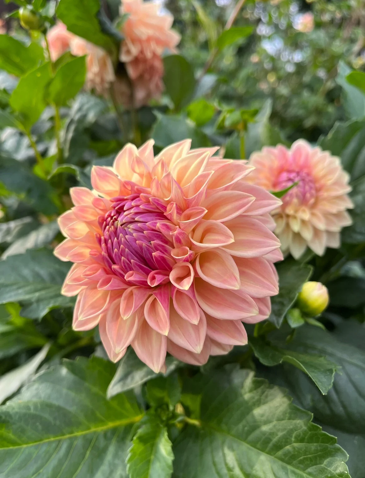 17DBF3D8-9E32-4545-8294-DBB5734C57DB