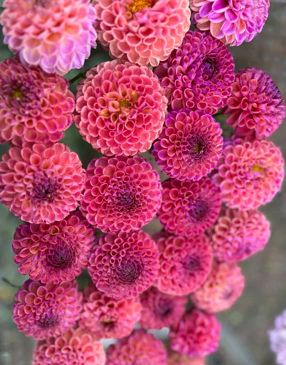 253B1975-E040-49B2-8BE9-5EF44C18BF03