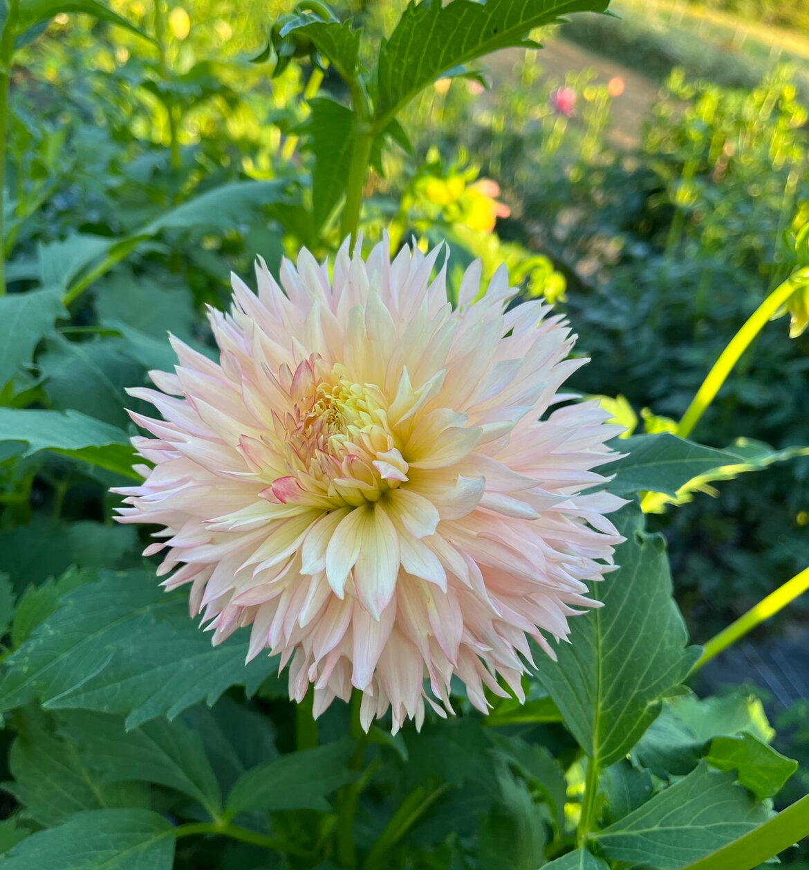 68126758-10A4-415E-A794-4FFAD0F9E62B