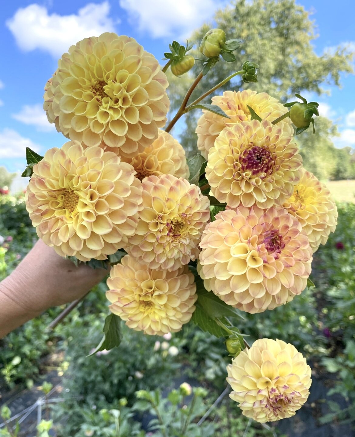 F8E88E94-E5B8-44E1-B62C-727680EF6442