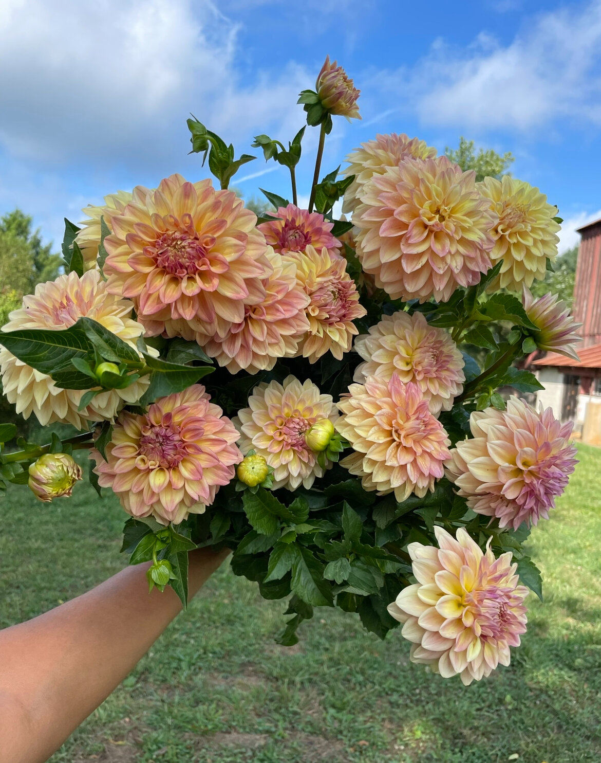 625AEE0A-418E-4AB2-9DA0-E5D1C8DE2094