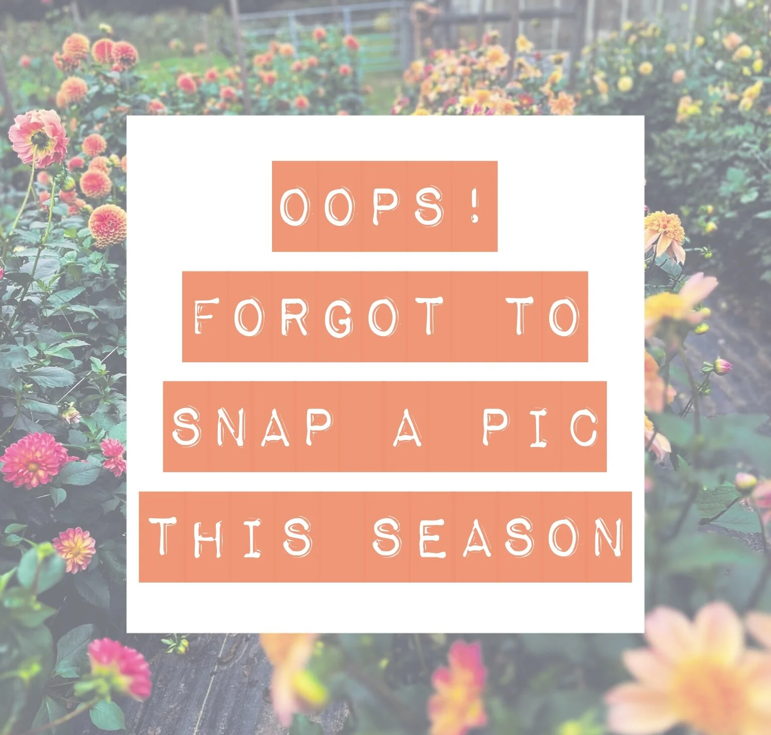 06C0ABDE-74D2-439E-A9C6-9C3857739079