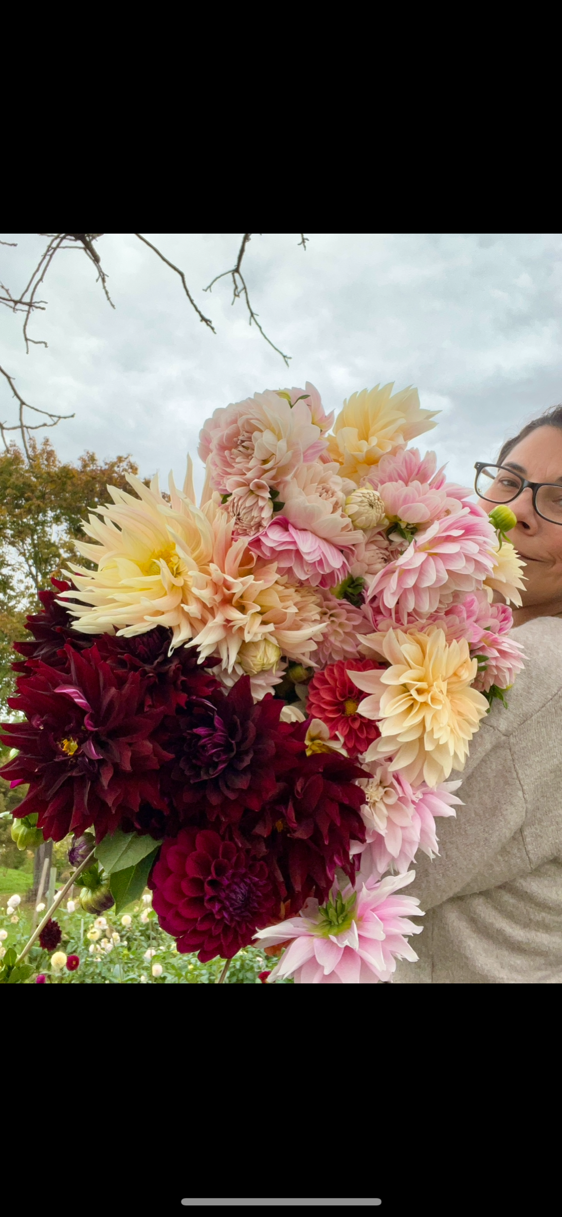 09915FB5-C12A-4A95-8F14-F614888BFC2E