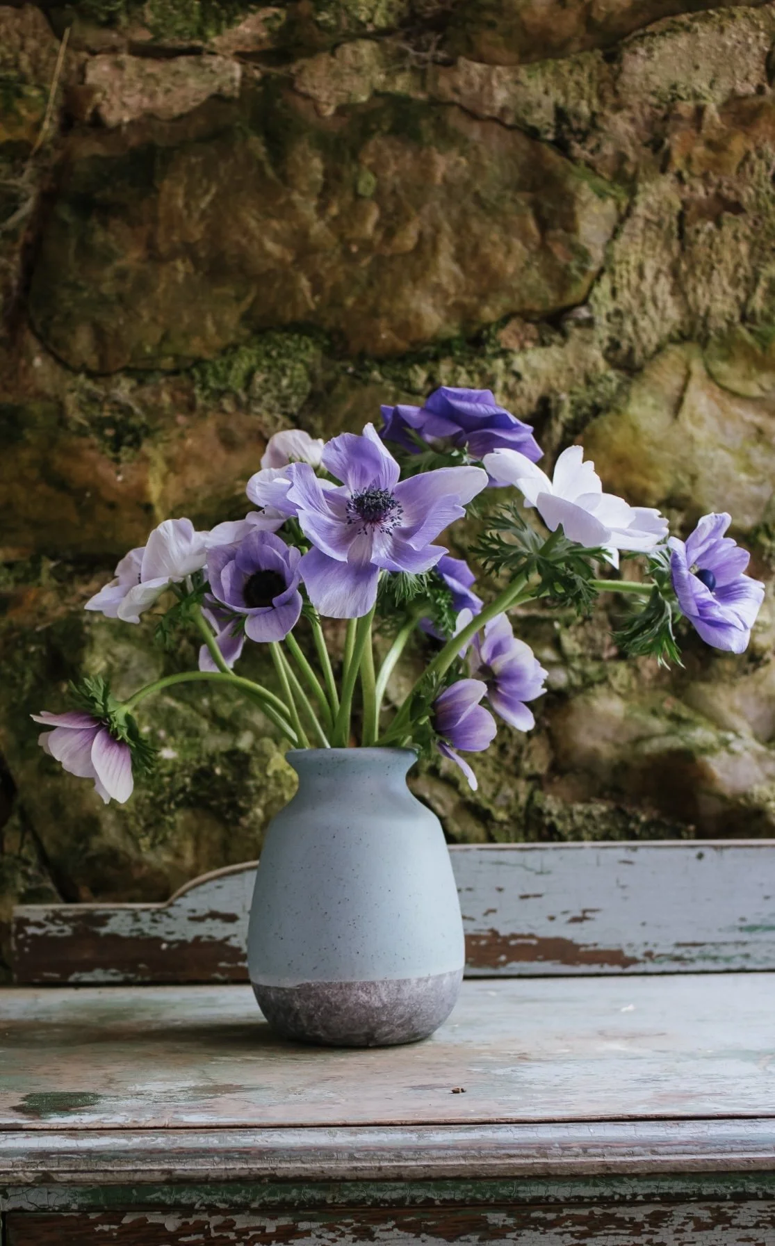 Anemone: Azzurro — The Farm at Oxford