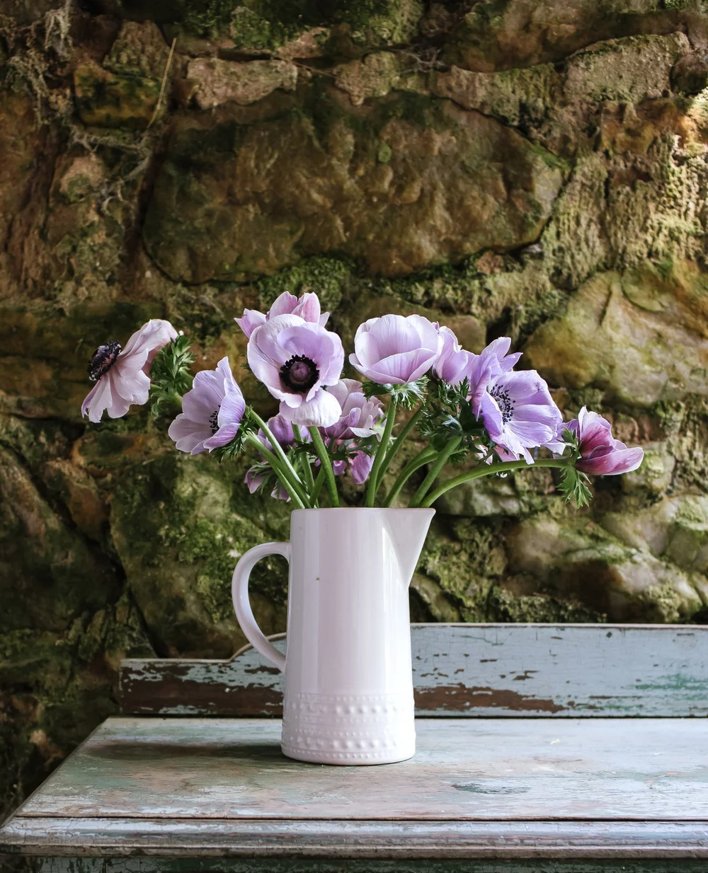 Anemone: Azzurro — The Farm at Oxford