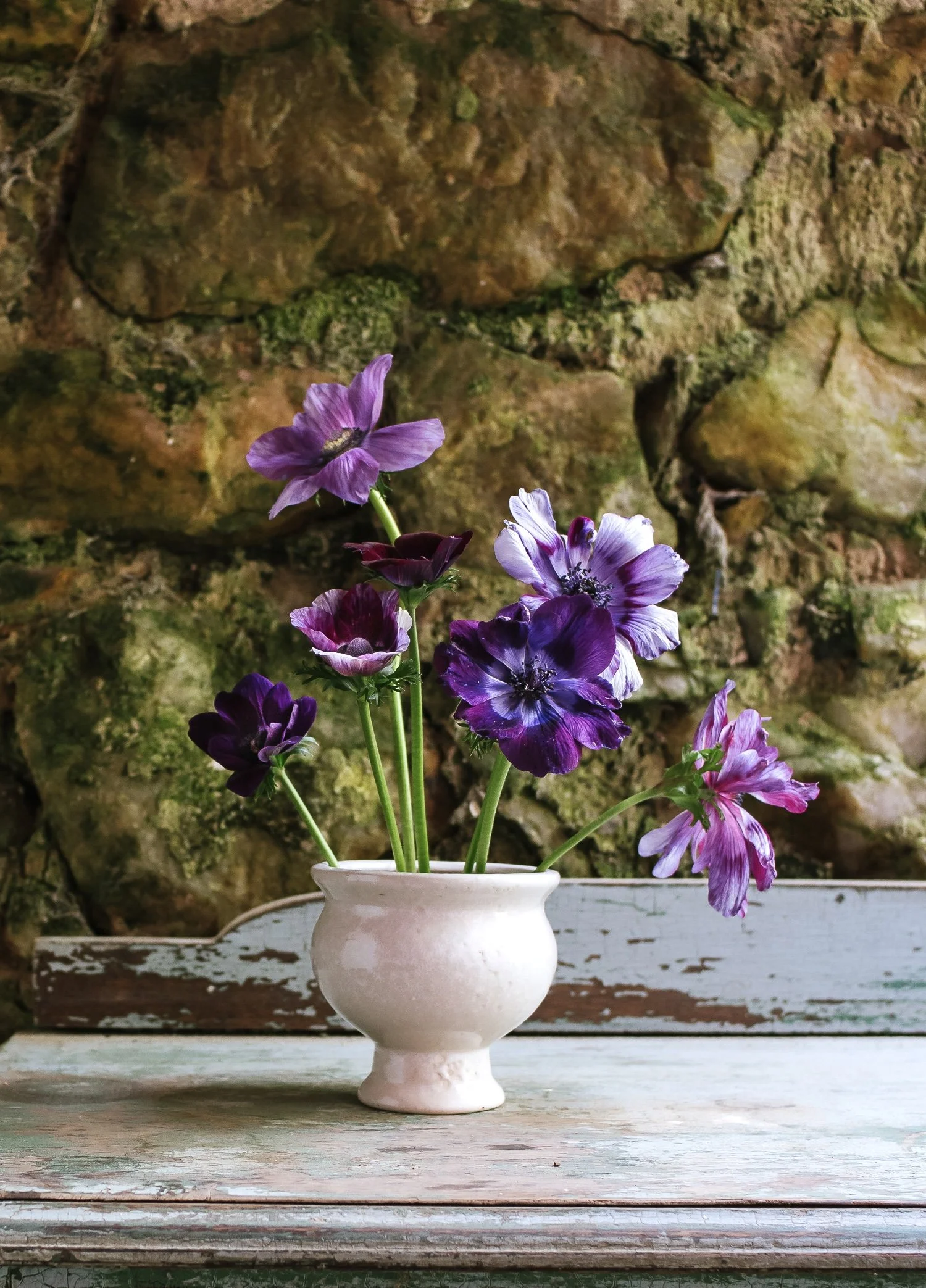 新品】EUREKA×古塔つみ×SEVESKIG 『ver. ANEMONE』 Excellent Model