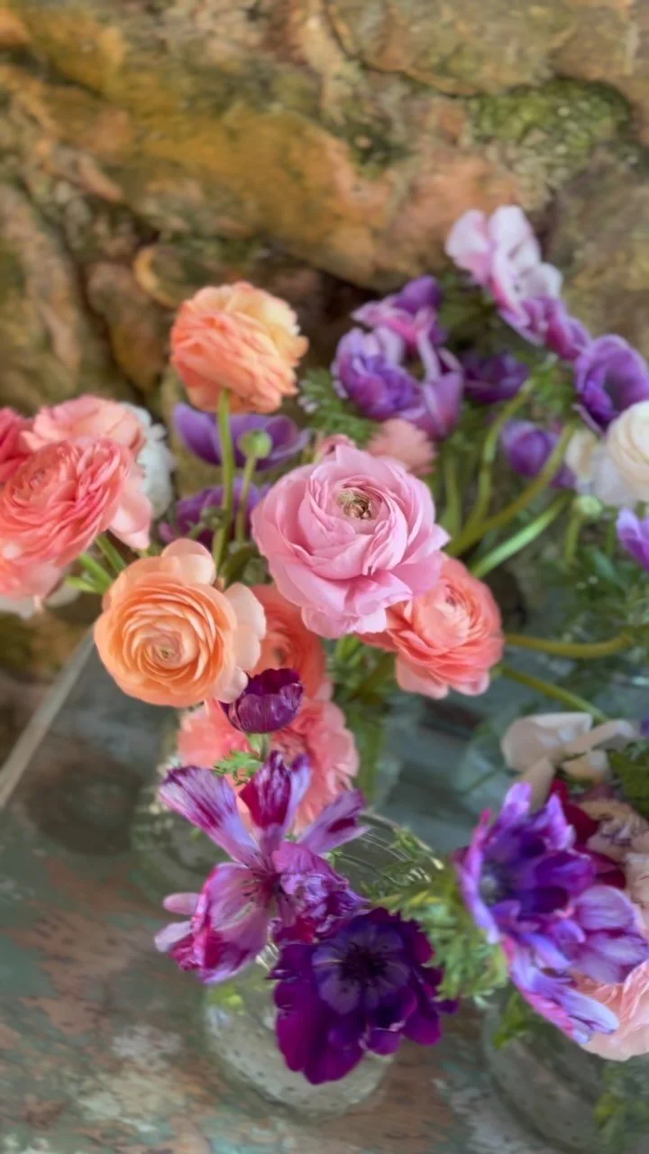 Cut Flowers The Farm At Oxford cut-flowers-the-farm-at-oxford