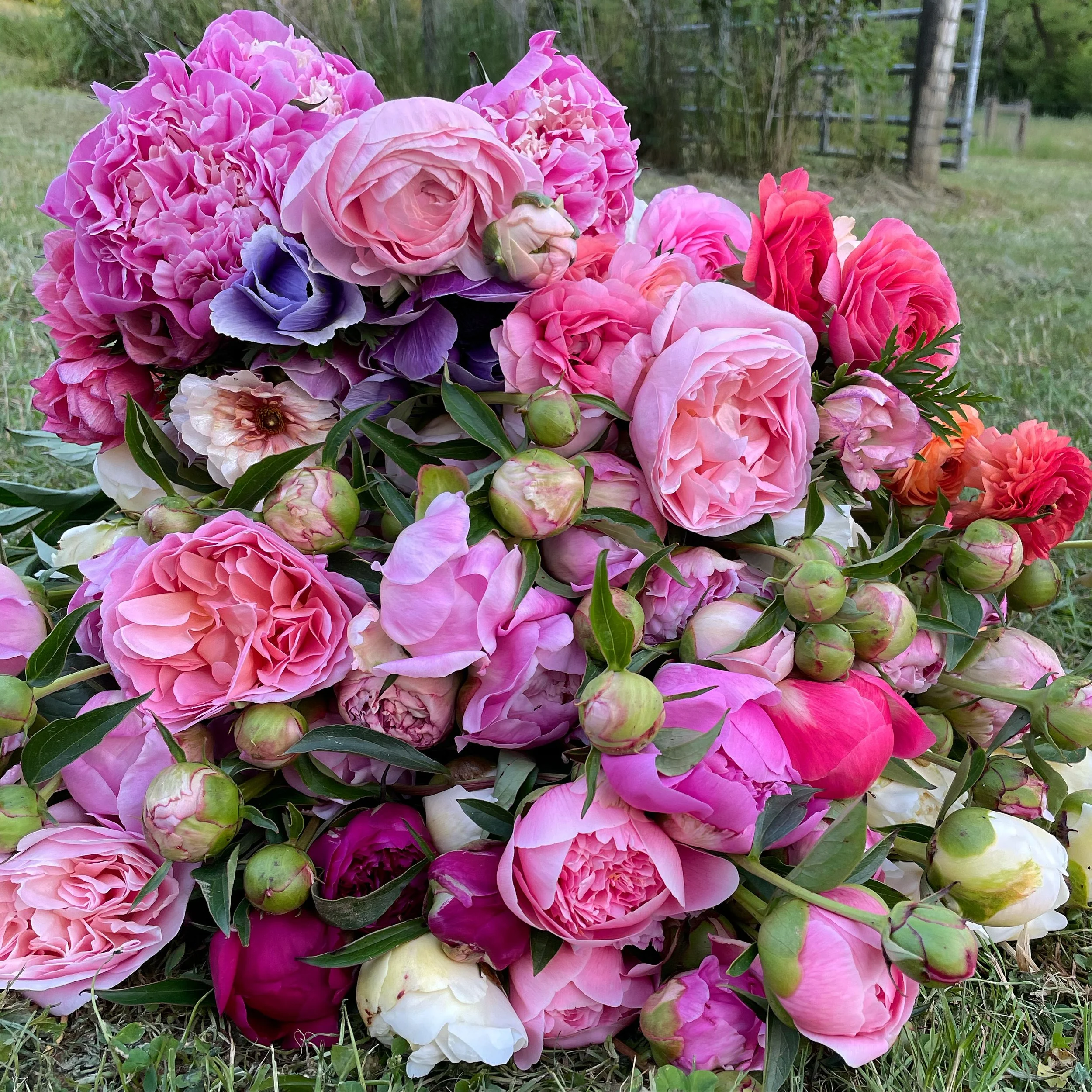 late spring bounty.jpeg