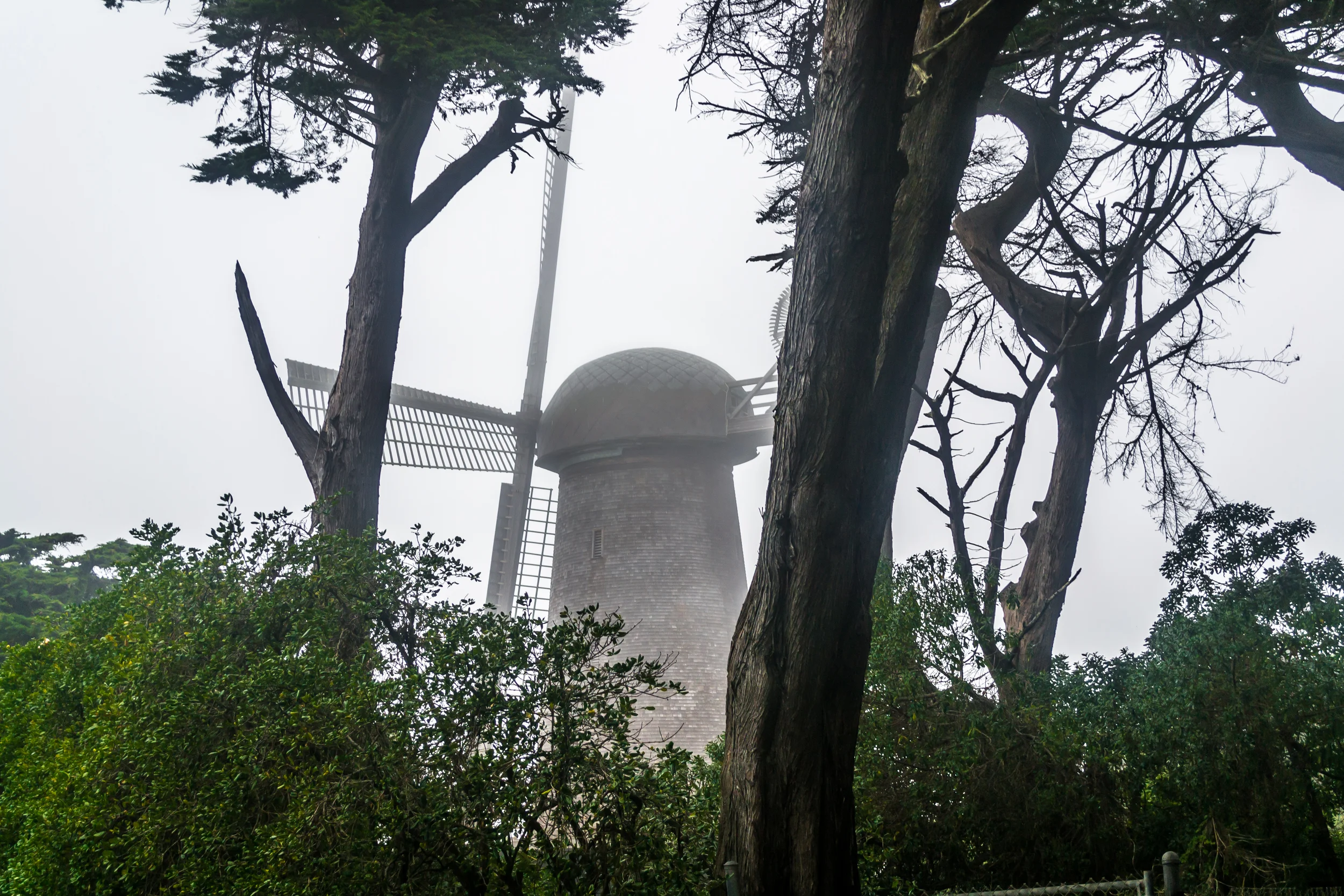 park1.jpg