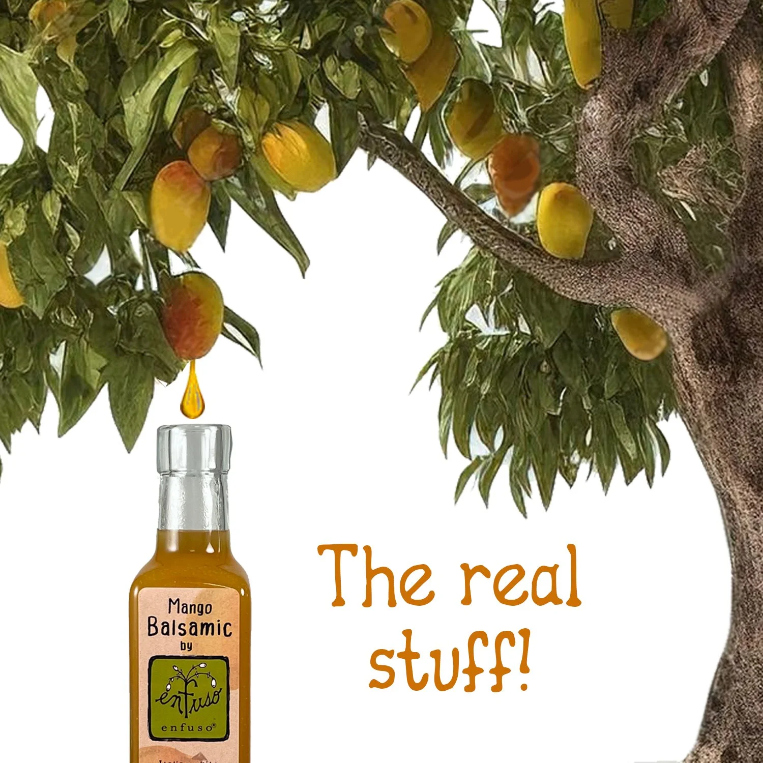 Mango tree droplet.jpg