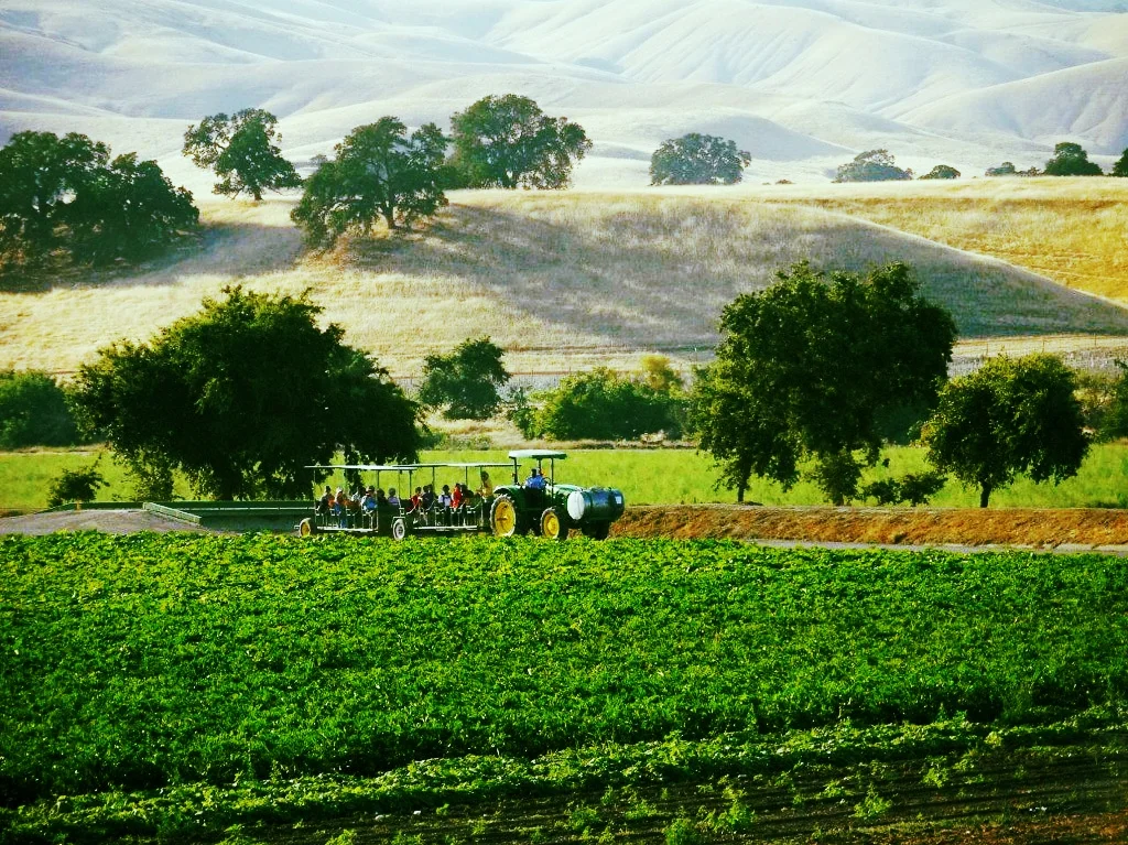 California's beautiful farm country. Photo courtesy of Jenny and Pearl.