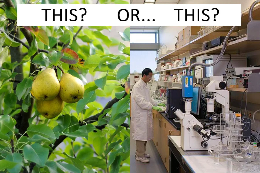 Food from nature vs from a laboraory