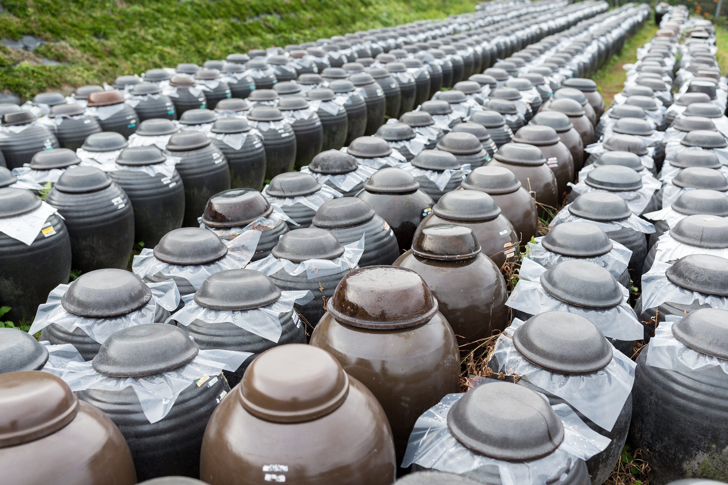 row-of-vinegar-barrel-store-at-outdoor-KDJNK5R.jpg