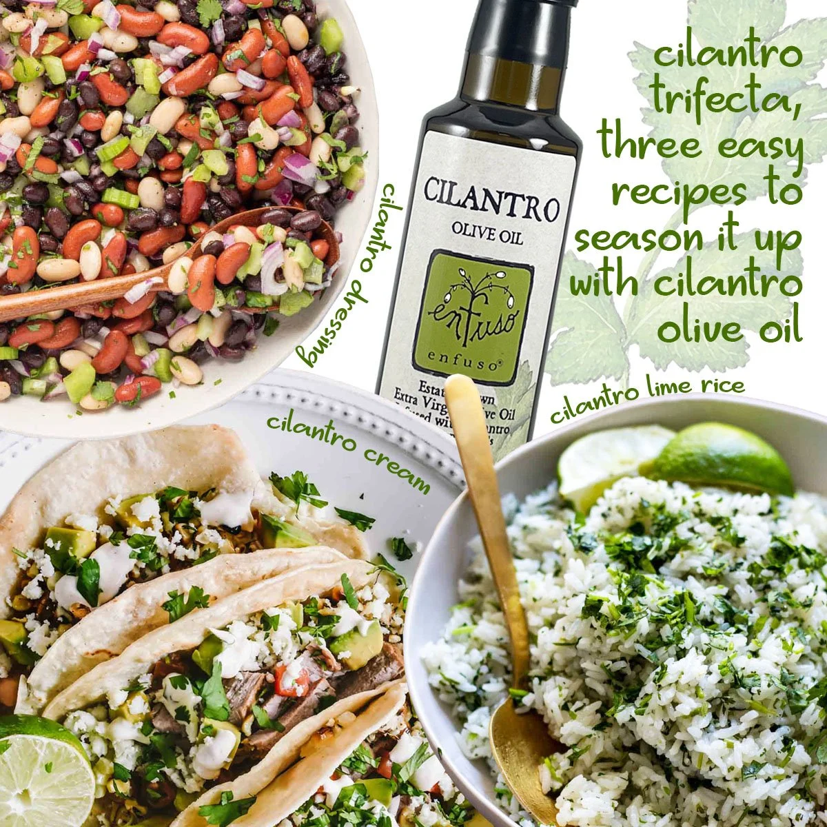 cilantro tri-fecta.jpg