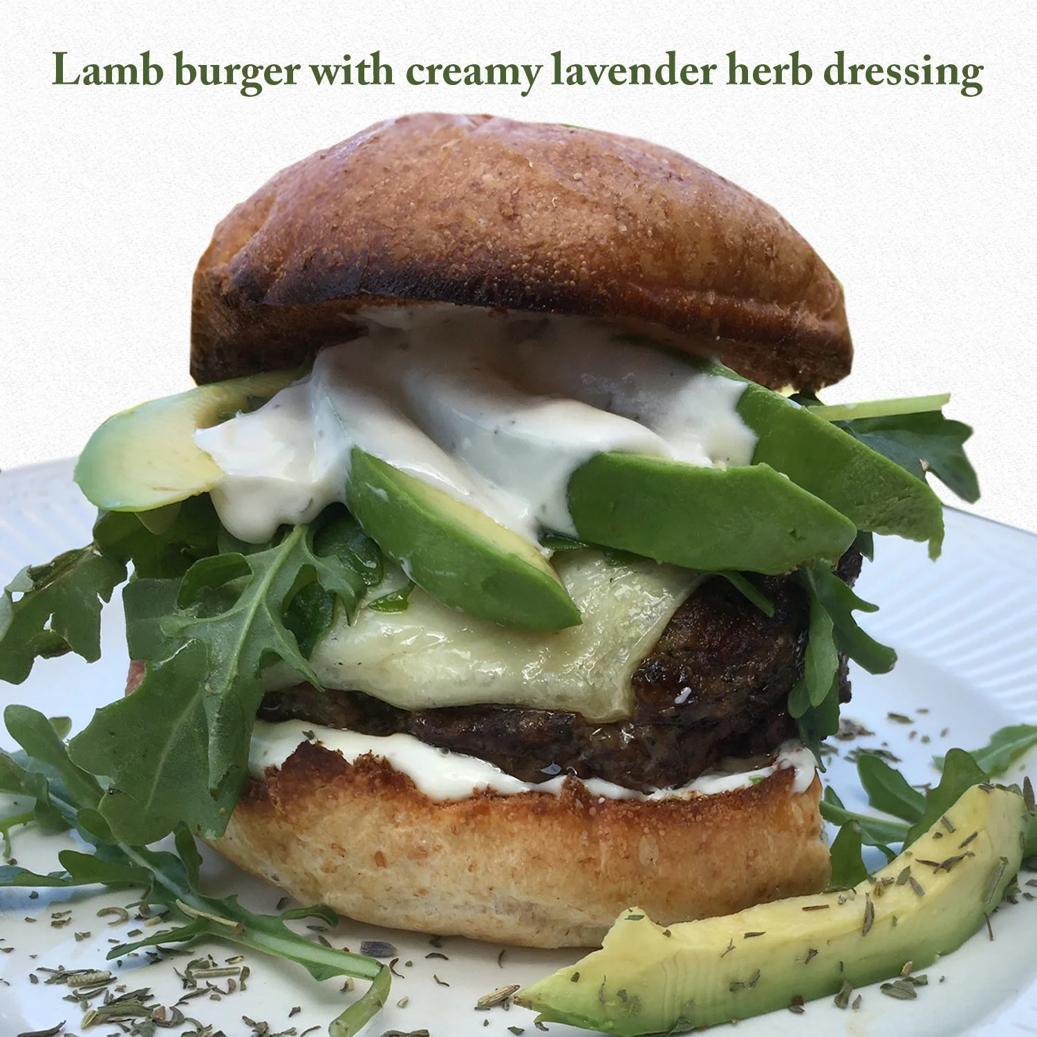Lamb burger with creamy lavender dressing-text.jpg