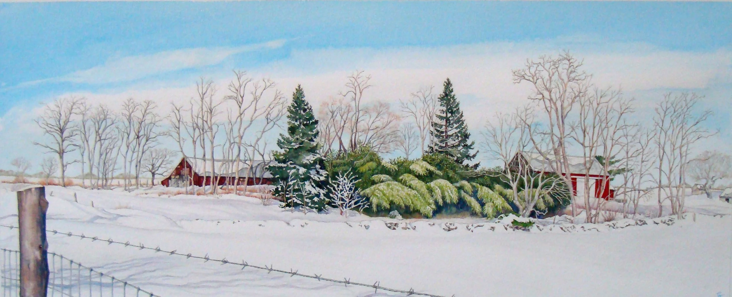  Vineyard Winter &nbsp; 29" X 18" 