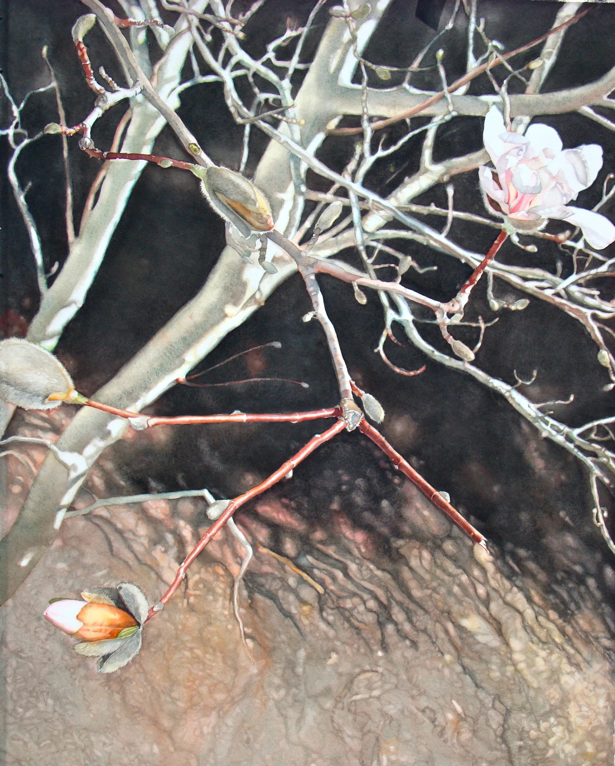  Crossroads &nbsp; &nbsp;22" X 30" 