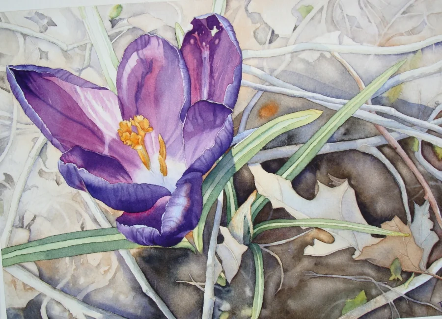  Crocus &nbsp; 8" X 10" 