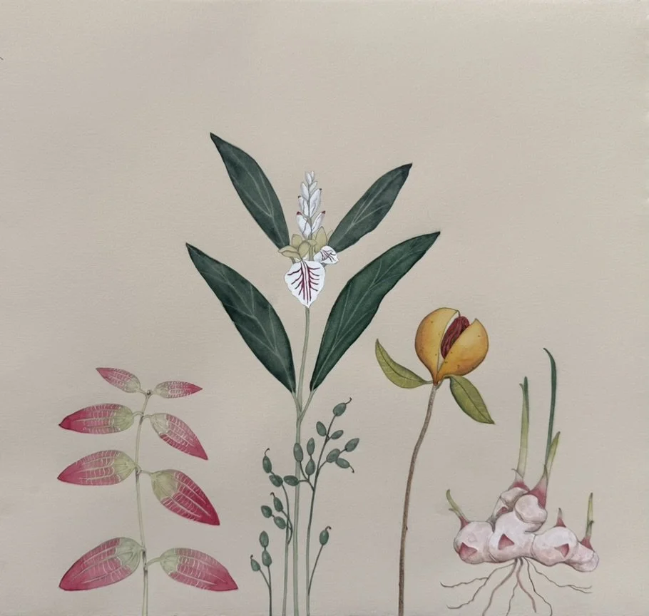 Cinnamon, cardamom, nutmeg/mace, ginger.