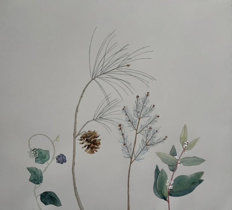 Ivy, pine, spruce and bay.