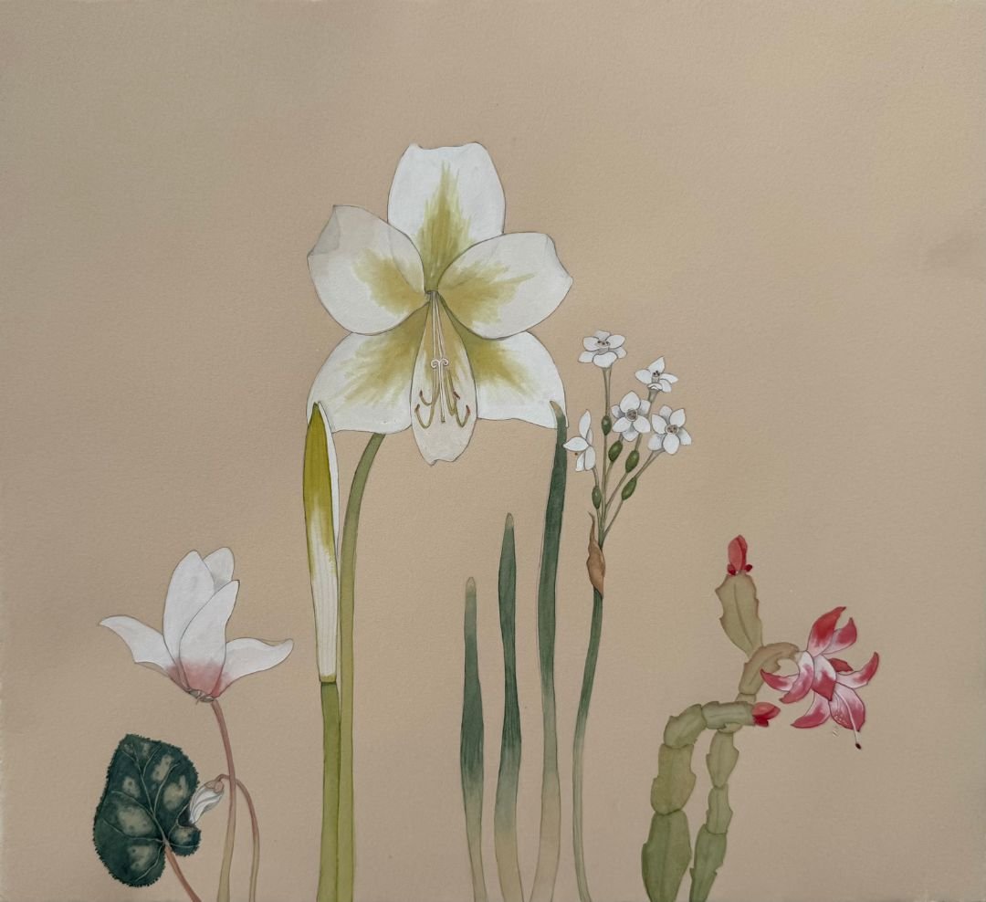 Cyclamen, amaryllis, paperwhite, and Christmas cactus.