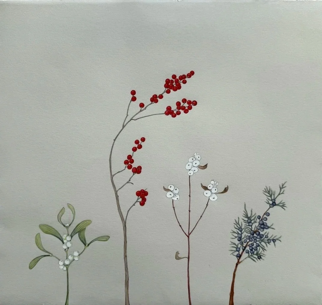 Mistletoe, winterberry, snowberry, and juniper.