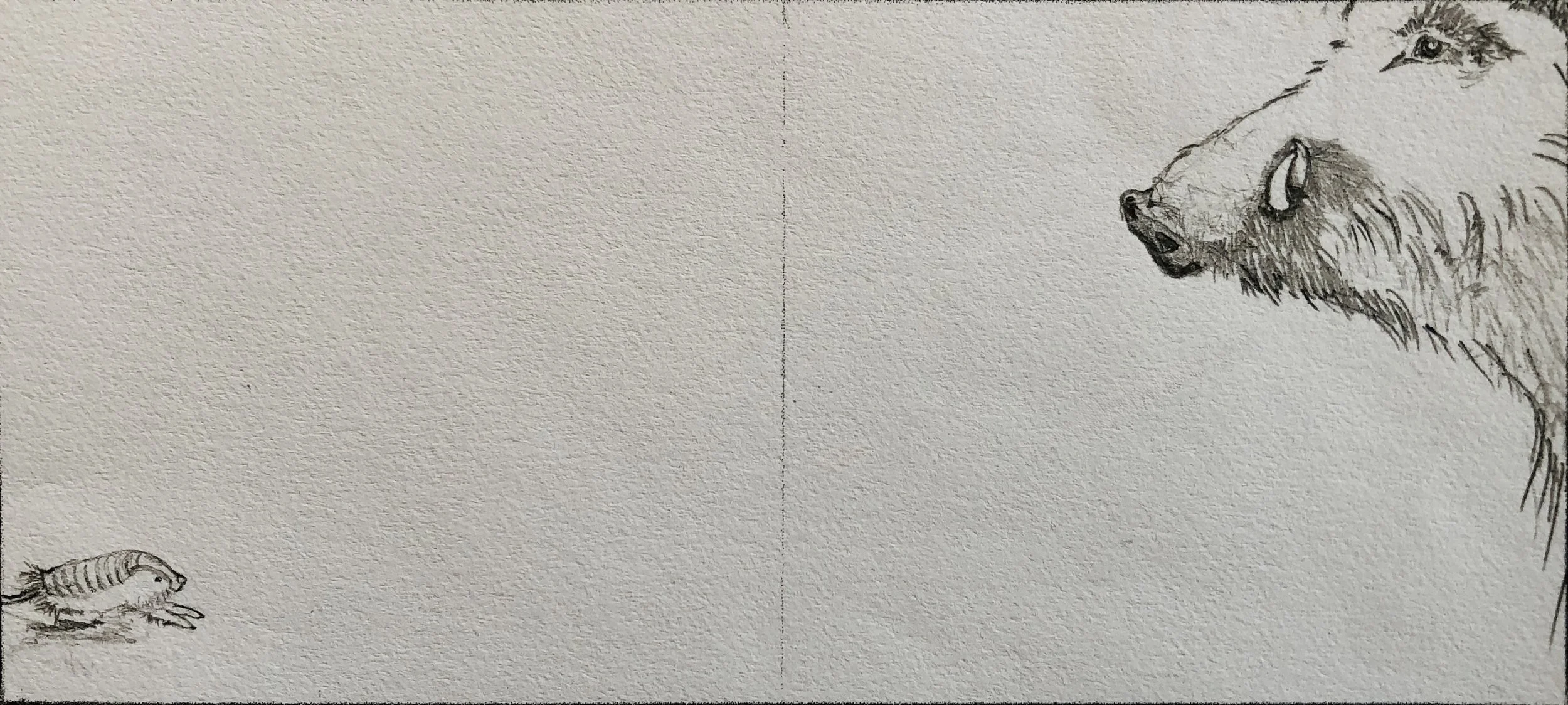 Armadillo is a small, trembling animal. Wild Boar is a big, dangerous animal.