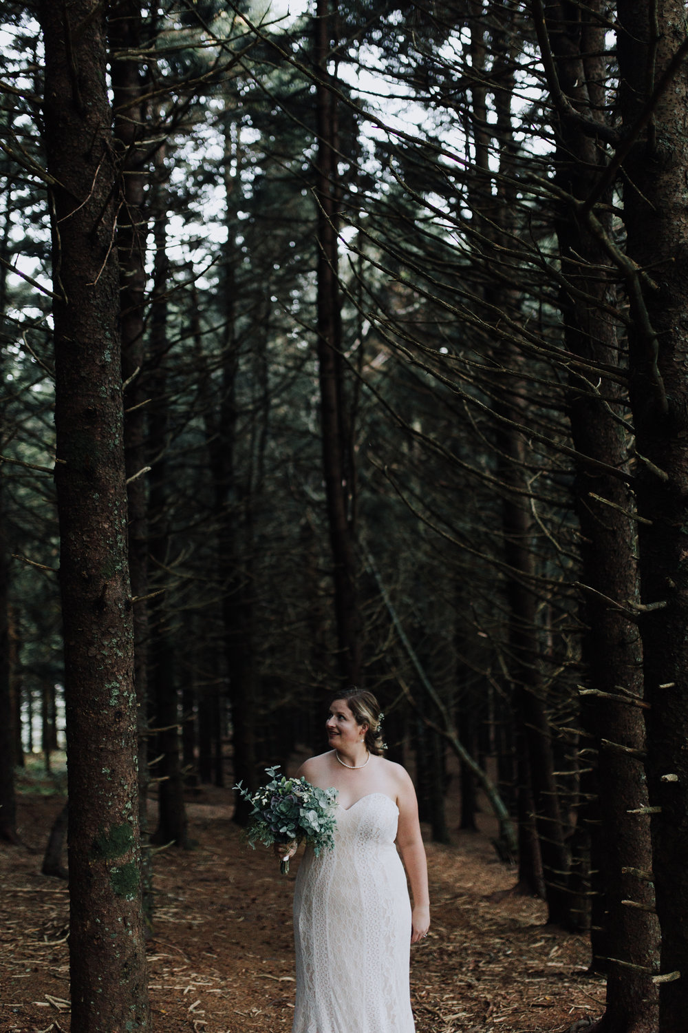 columbia-south-carolina-wedding-photographer-north-carolina-mountains-bridals