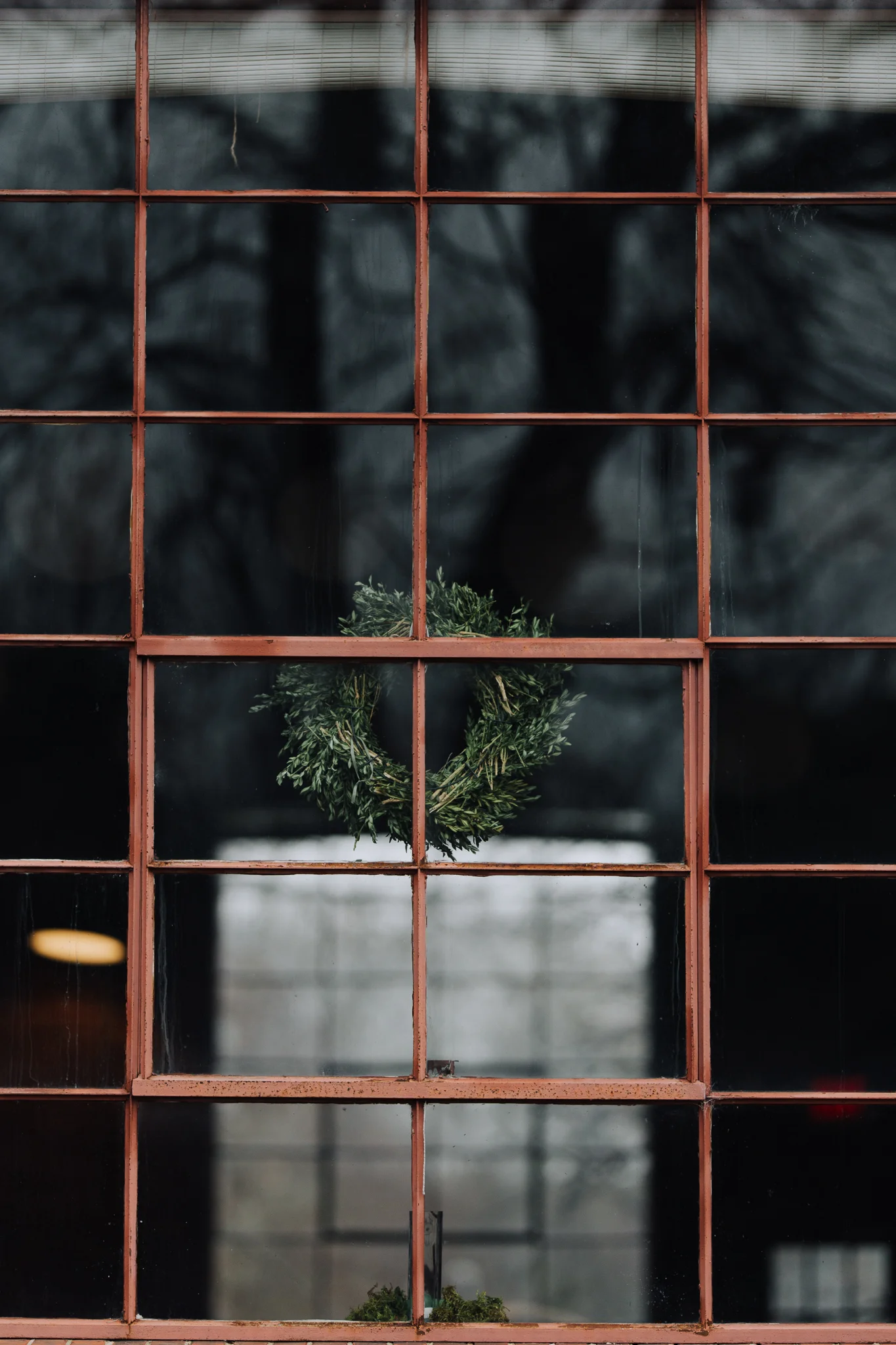 Green-22.jpg