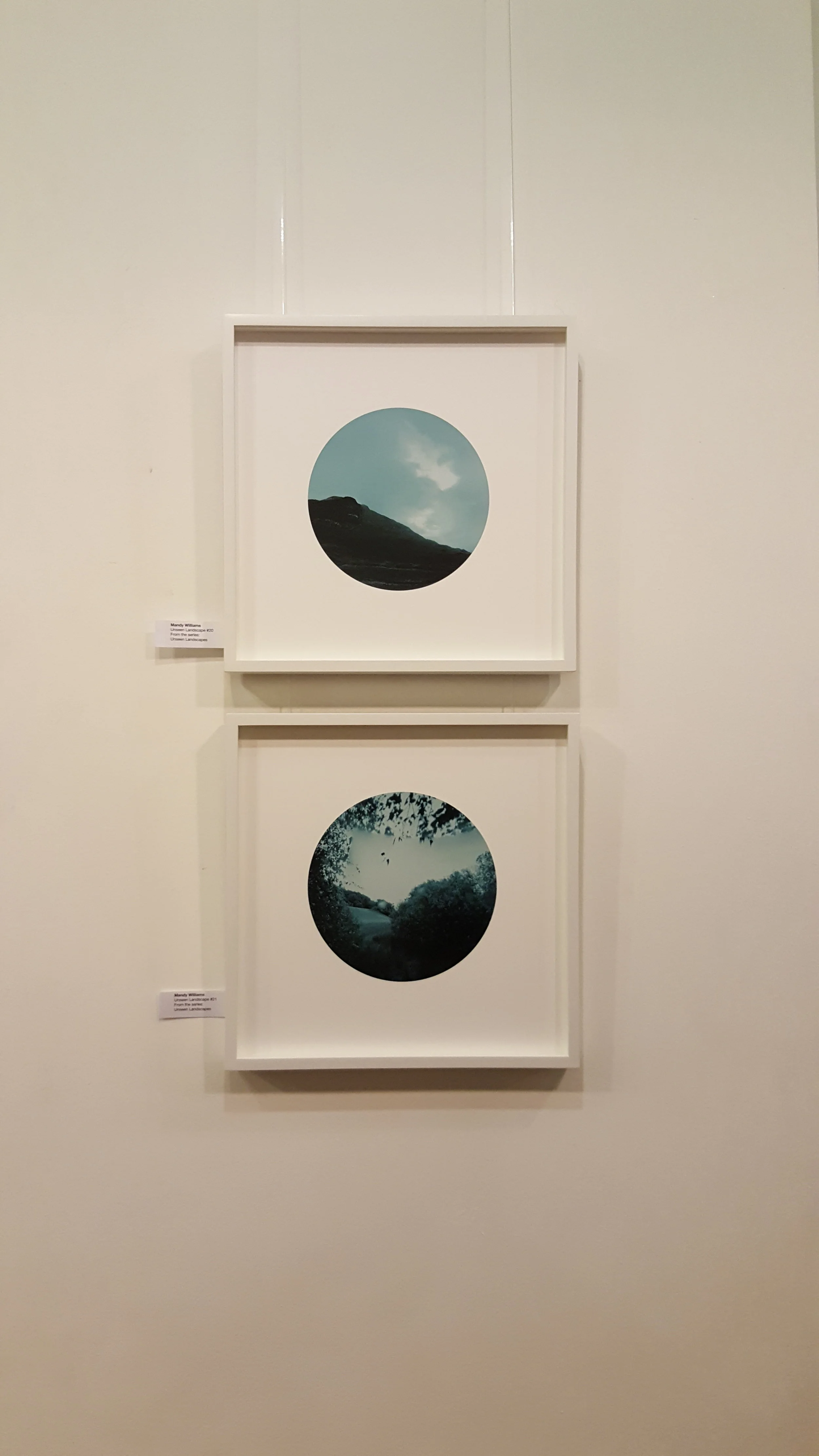 Mandy Williams, Unseen Landscapes