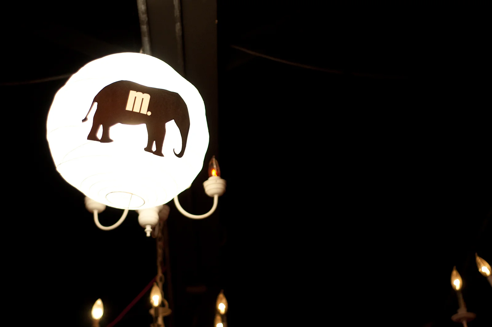 Elephant lantern.JPG