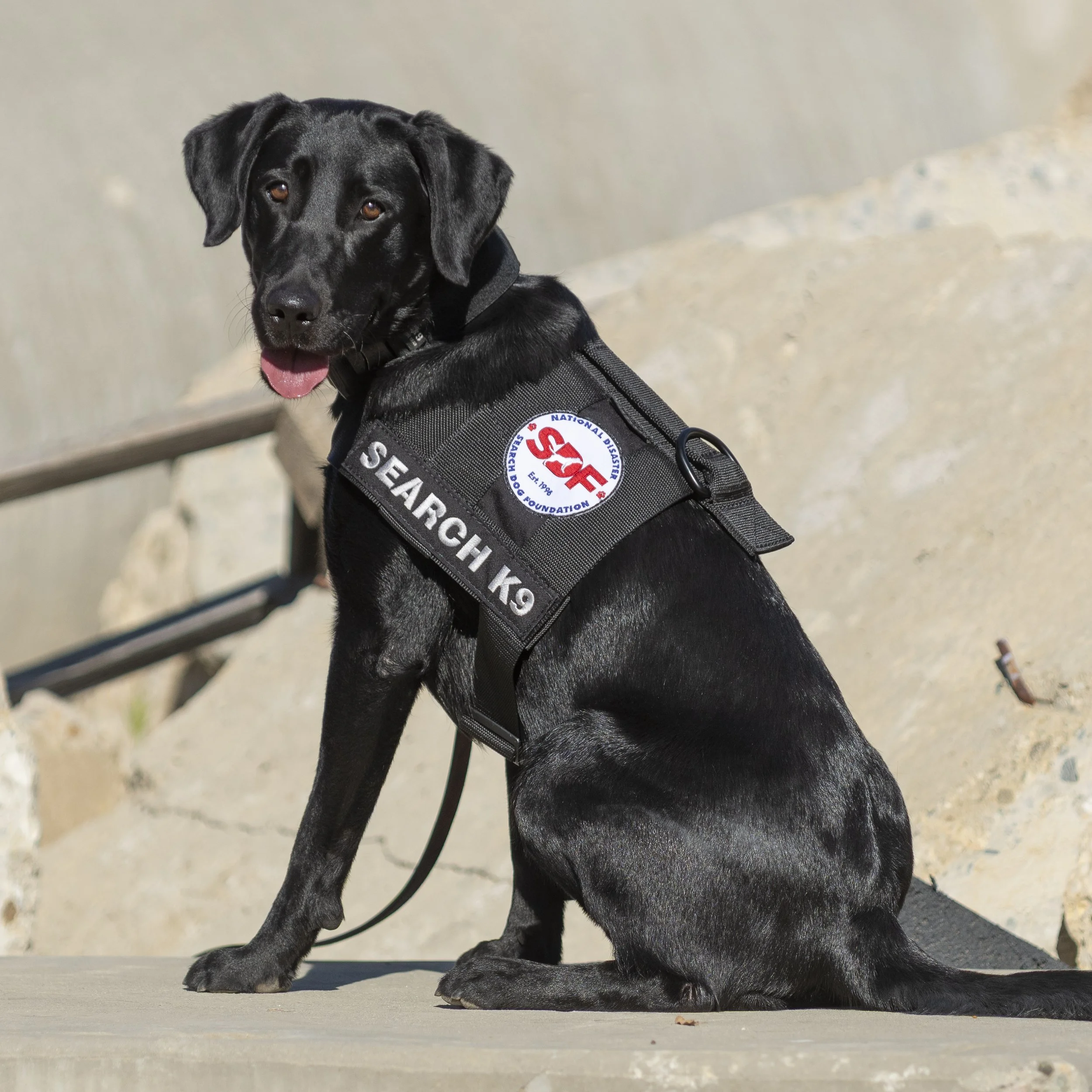 Raya and Austin Addington