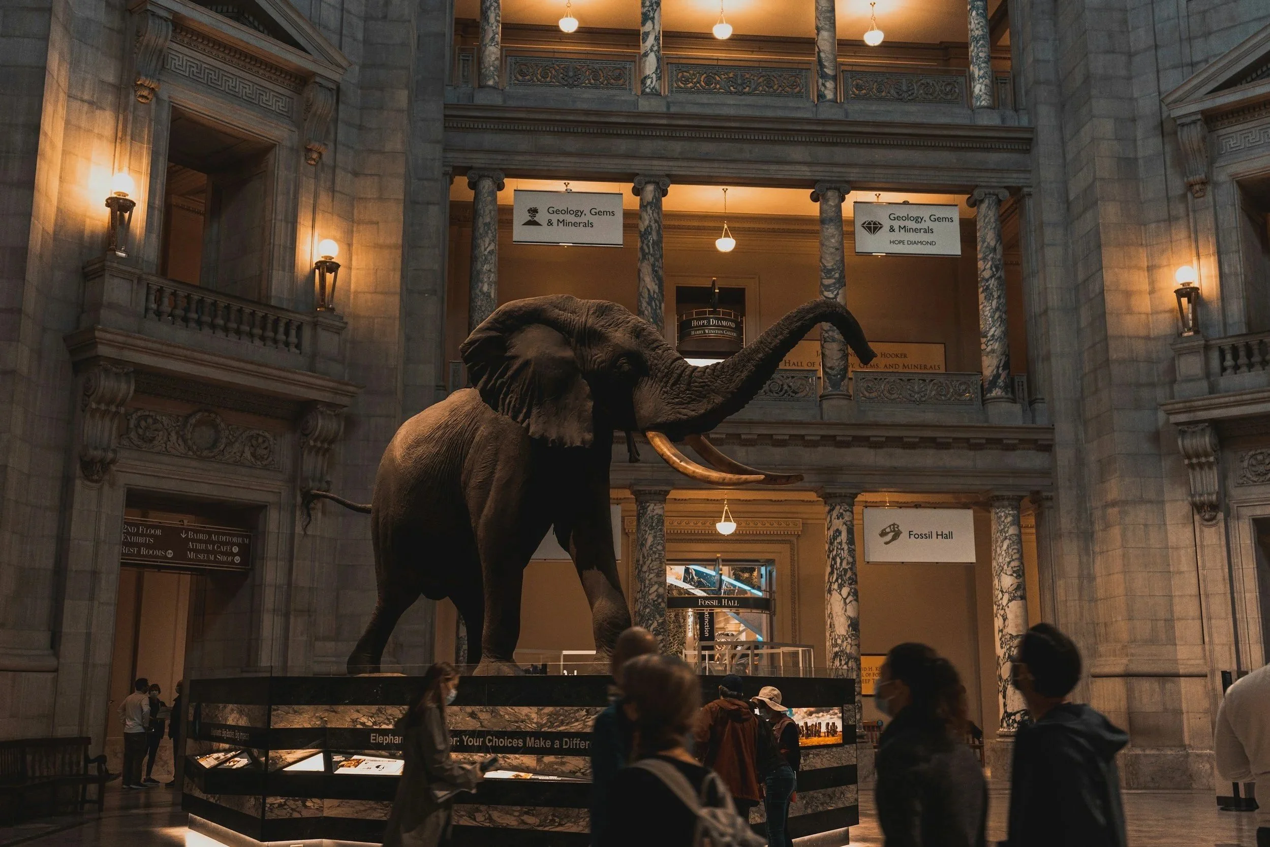 Using AI to Reimagine the Museum Experience 